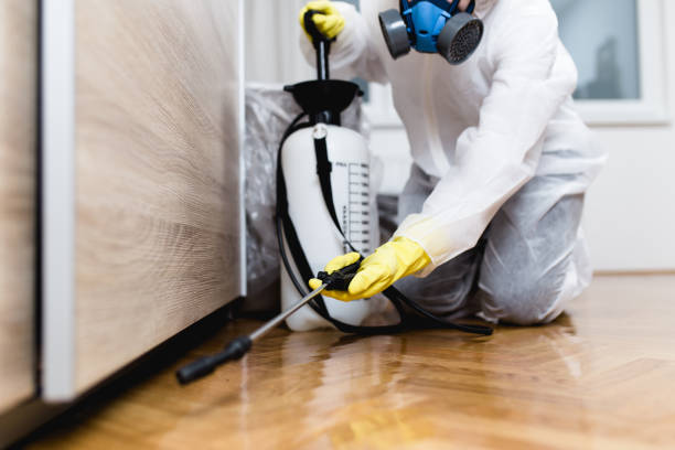 Best Emergency Pest Control  in Kingman, KS