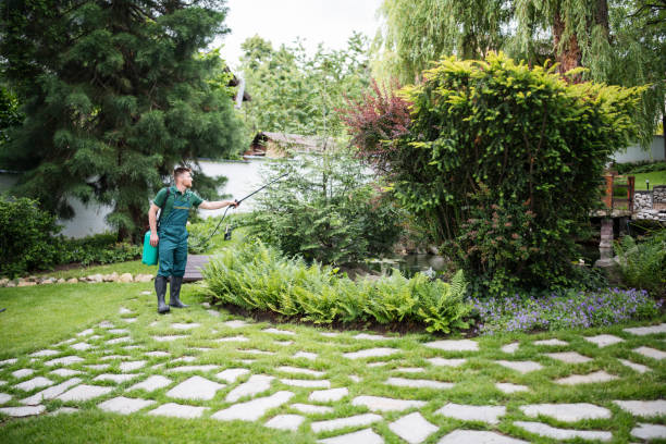 Best Local Pest Control Services  in Kingman, KS