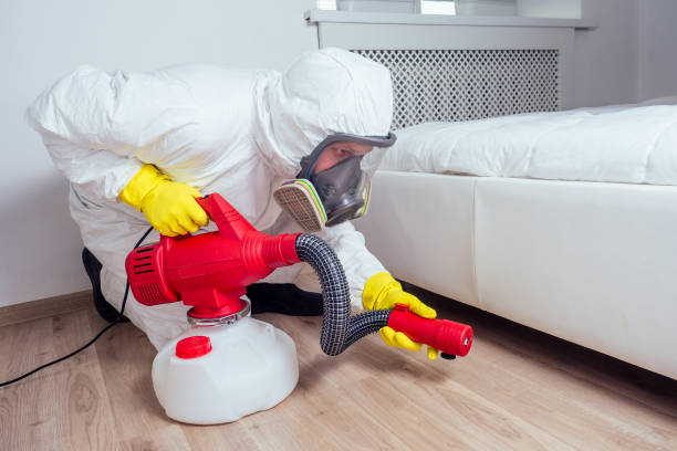 Reliable Kingman, KS Pest Control Solutions