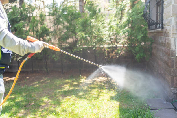 Best Mosquito Control Services  in Kingman, KS