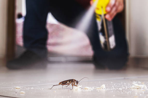 Best Pest Prevention Services  in Kingman, KS