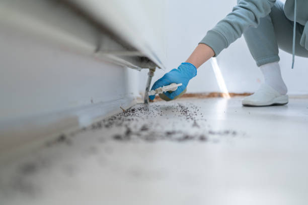 Best Pest Prevention Services  in Kingman, KS