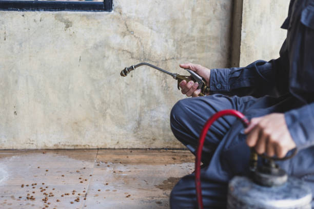 Pest Prevention Services in Kingman, KS